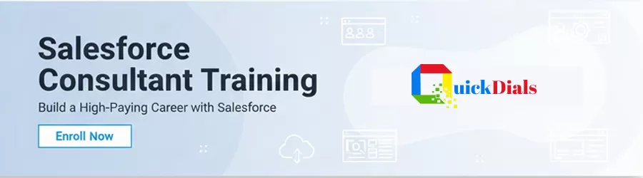 Salesforce Consultant